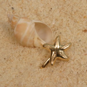Bijou Nombril étoile de mer col or