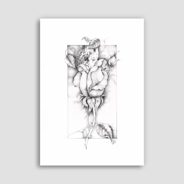 drawing-original-pencil-woman-flower-rose
